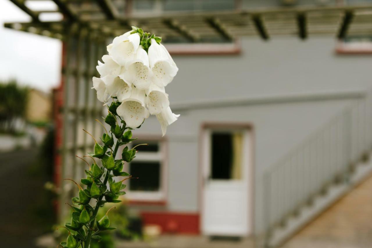 Eagle Heights Bed & Breakfast Enniscrone Exterior photo